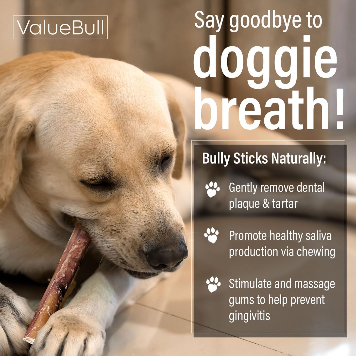 Bully Sticks for Dogs, Thick 6 Inch, 25 Count - All Natural Dog Treats, 100% Beef Pizzles, Single Ingredient