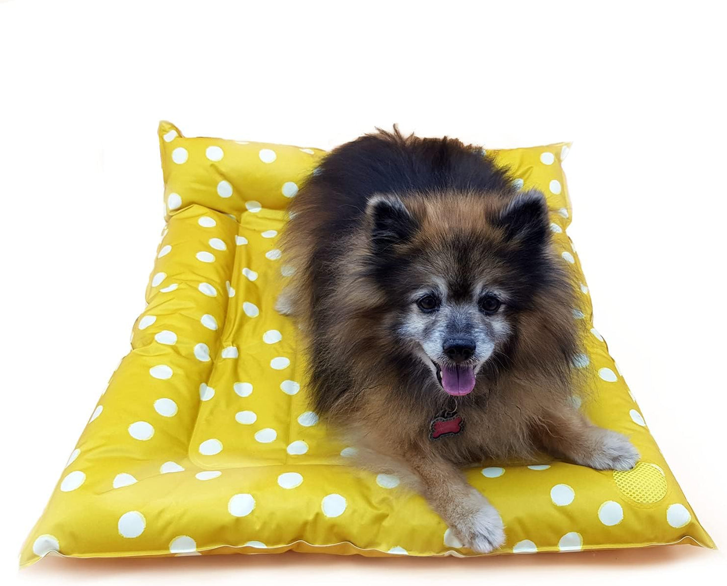 Coolspot Cooling Pet Bed for Dogs and Cats Self-Activate Eco-Friendly (Aquawave, Large)
