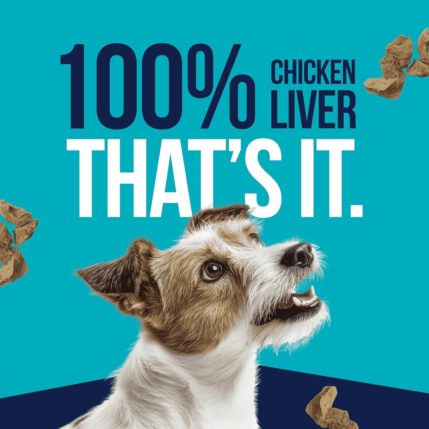 Pro-Treat Freeze Dried Chicken Liver (1.5 Oz)