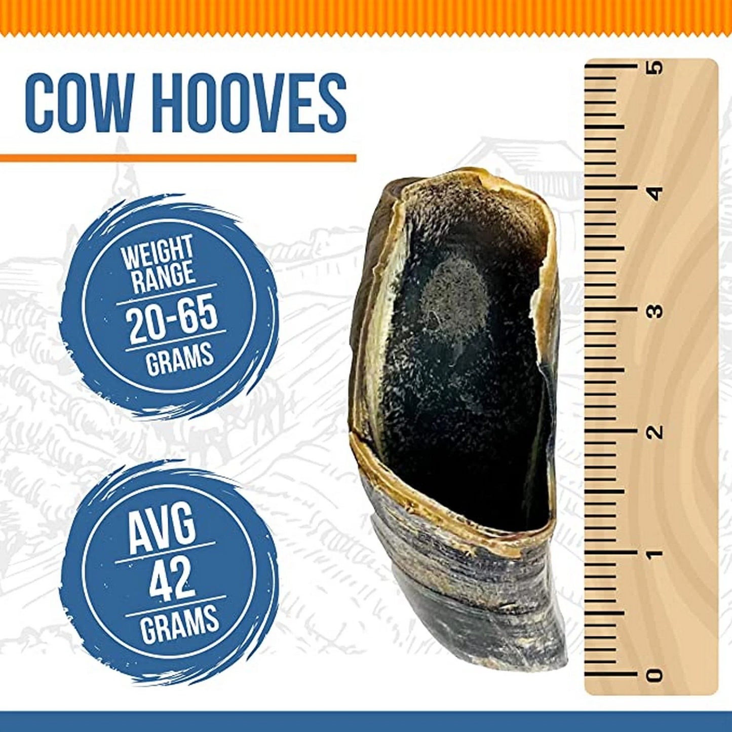 - High-Quality Beef Dog Treats Cow Hooves Dog Chews - 3-4 Inch (12 Count, 20-65G) - All Natural Chews - Odor-Free & Rawhide-Free - Ideal for All Breeds & Puppies - Promotes Dental Health