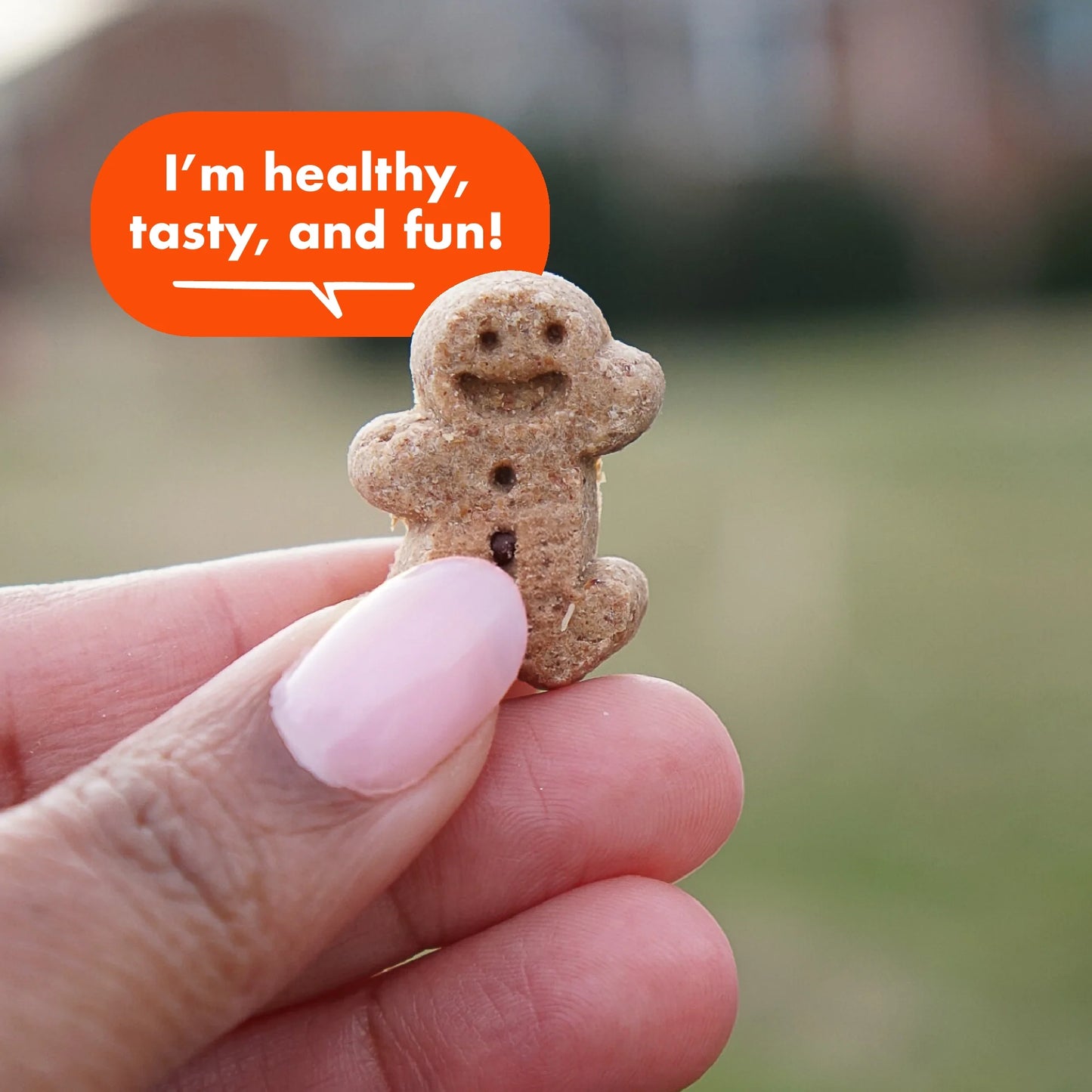 Whole Grain Soft & Chewy Dog Treats with Peanut Butter - Made in the - 20 Oz.