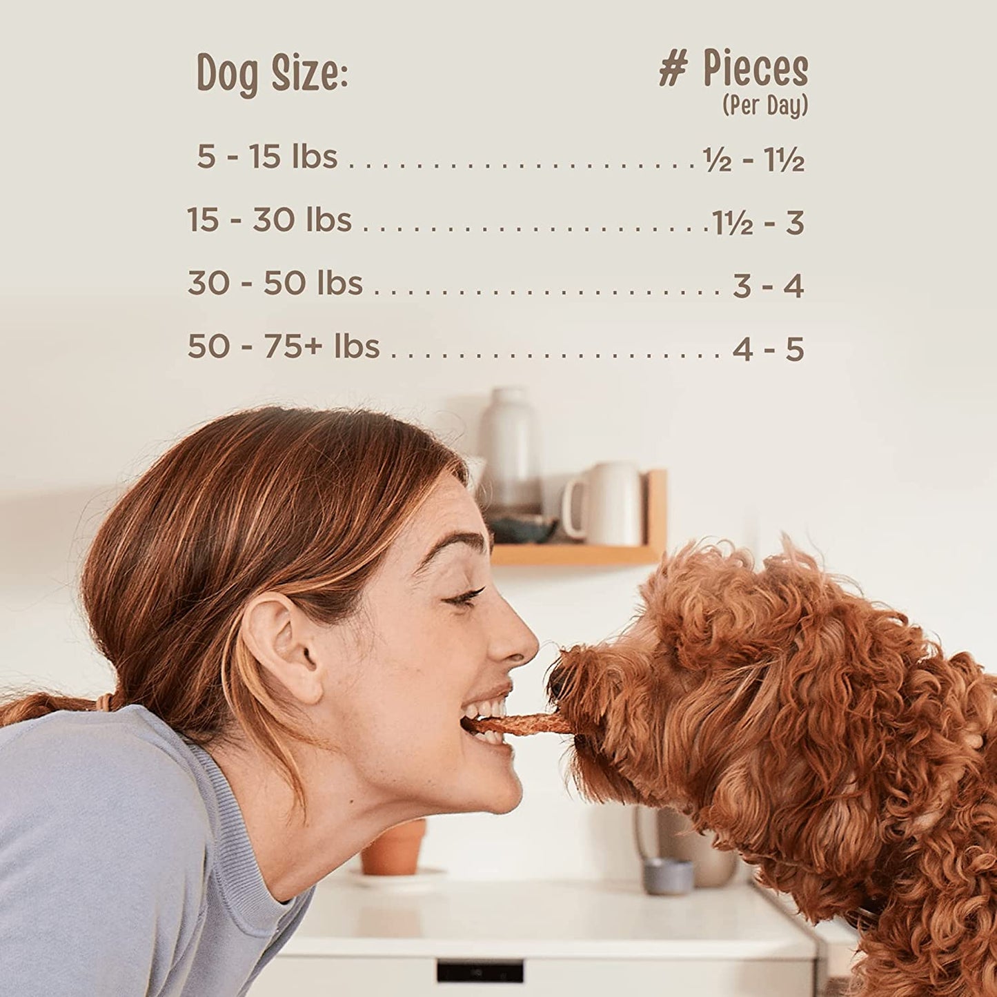 Beef Jerky Healthy All Natural Dog Treats Human Grade Made in USA Grain Free 11