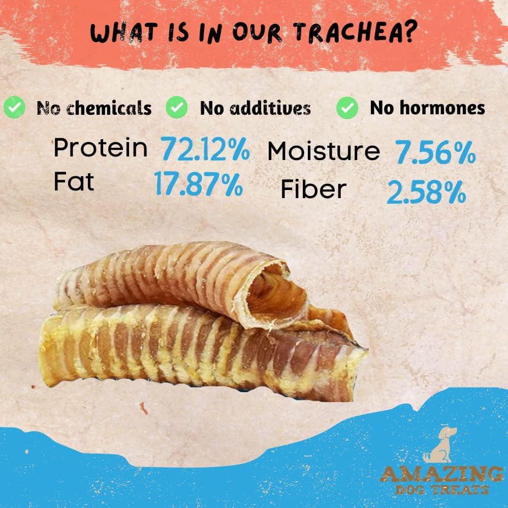 - 6 Inch Beef Trachea Dog Chews (6 Inch - 100 Count Bulk) - Trachea Dog Treats - NO Hide - Digestible and Safe Chews for Dogs - Glucosamine and Chondroitin for Joint Health