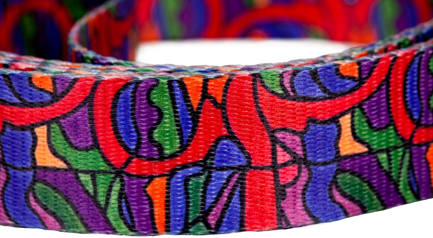 Eco Friendly Van Heemskerck Dog Collar, 15-20-Inch, Medium
