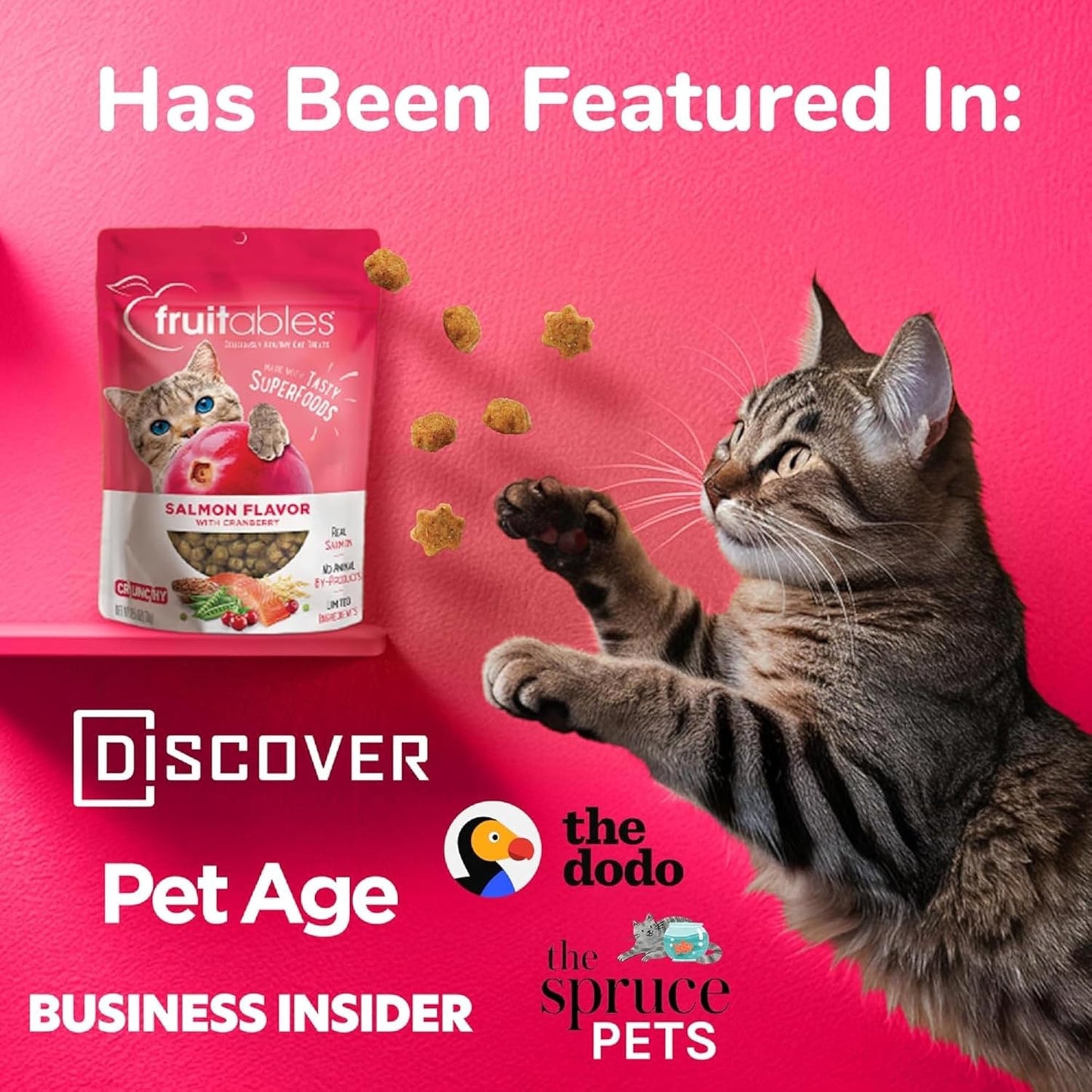Cat Treats, Healthy Treats for Cats, Low Calorie and Packed with Protein, Crunchy Biscuits, Free of Wheat, Corn and Soy, Made with Real Salmon and Cranberry, 2.5Oz