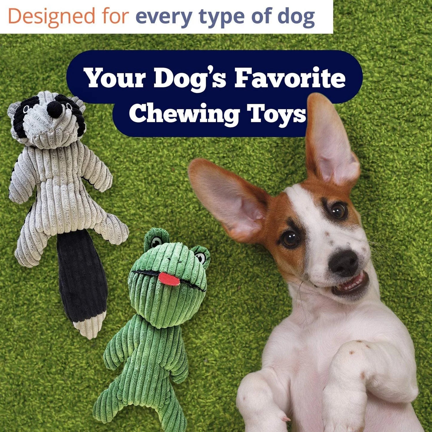 Plush Corduroy Chew Toys Set for Dogs and Puppies, Squeaky, Durable Frog and Raccoon Chewing Toys for Pets, Crinkle Noise Toys for Dogs of All Sizes