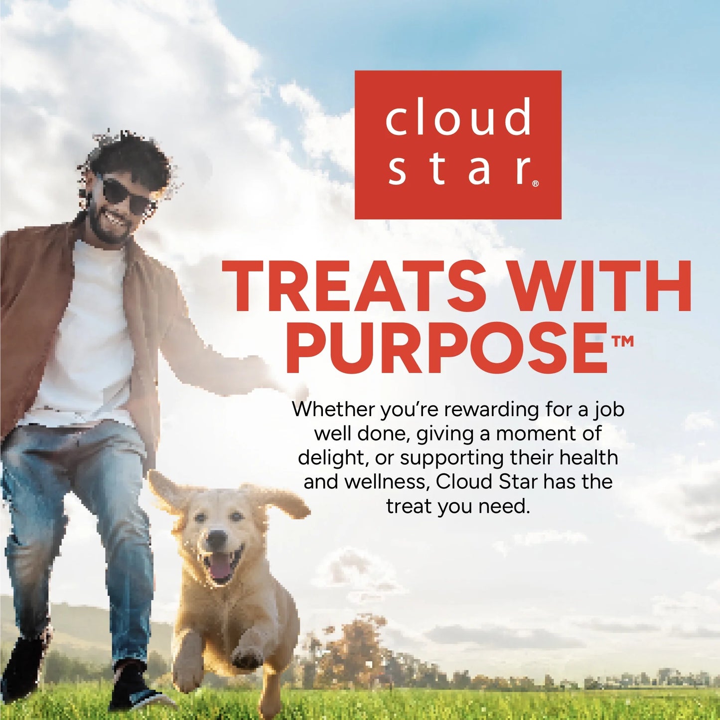 Whole Grain Soft & Chewy Dog Treats with Peanut Butter - Made in the - 20 Oz.
