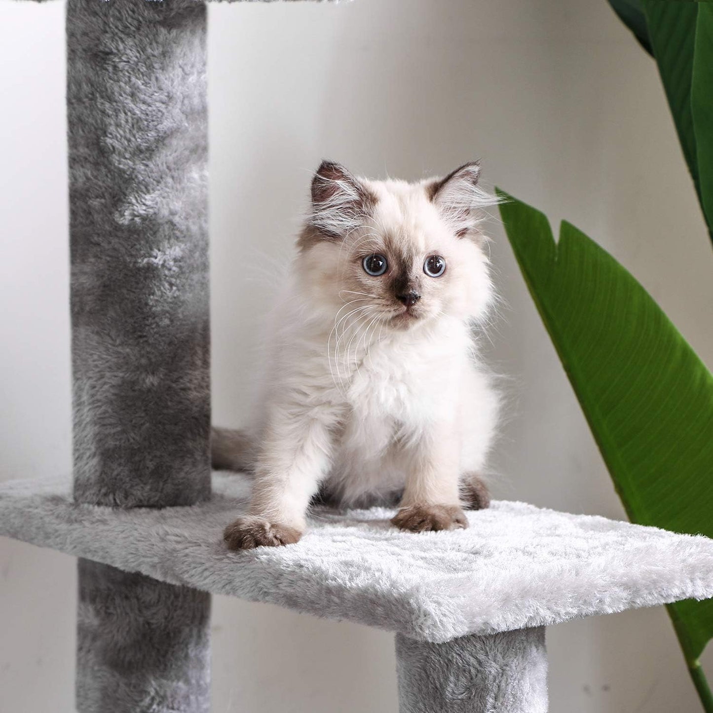 Cat Tree Condo with Scratching Post Cat Tower Padded Plush Perch and Cozy Basket for Kitten Light Grey MMJ11L