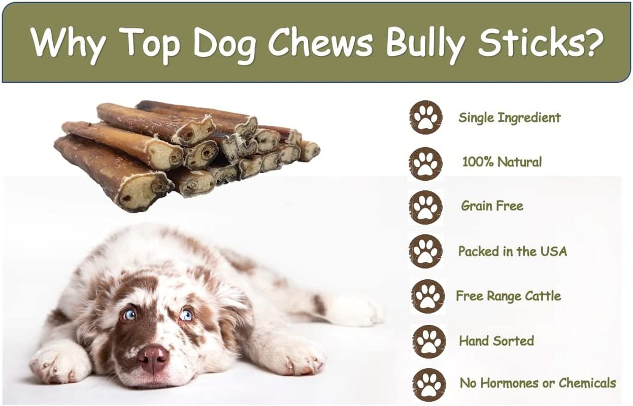 6” Bully Sticks –100% Natural, Grass-Fed Beef from Free-Ranging Cattle, 25 Pack, Long Lasting Dog Treats. Ideal for Chewing, Healthy Teeth & Gums