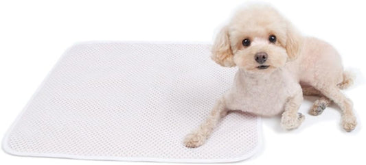 Eco-Friendly Semi Permanent Washable and Reusable Bowel Pad Small 3P for Pet Dog Puppy Training Pee Mat Made in Korea