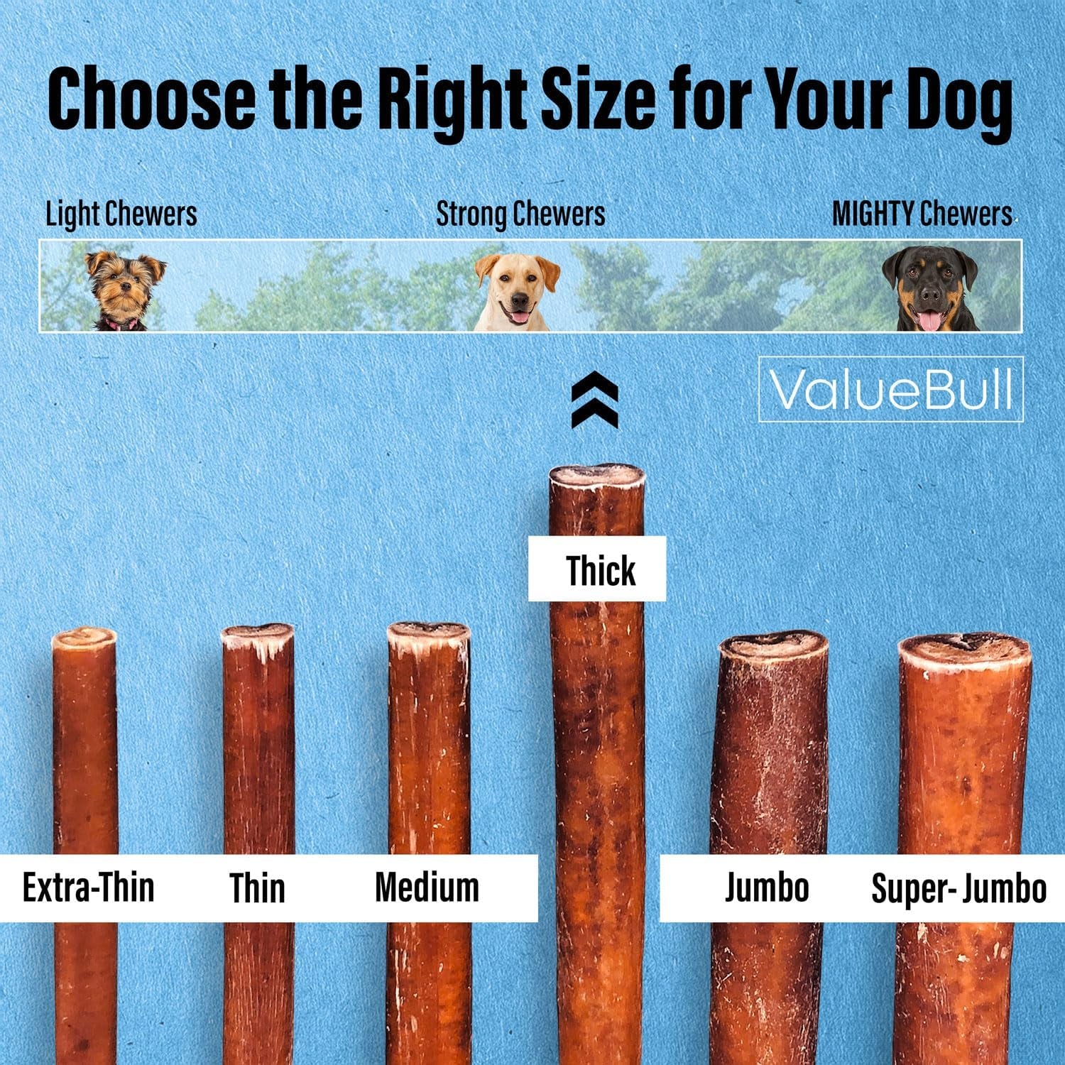 Bully Sticks for Dogs, Thick 6 Inch, 25 Count - All Natural Dog Treats, 100% Beef Pizzles, Single Ingredient