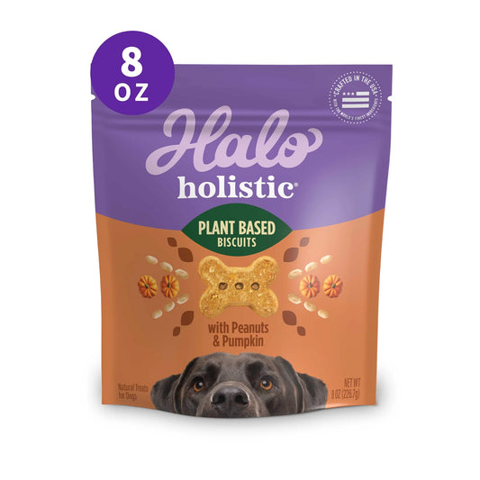 Holistic Vegan Dog DMF15 Treats, Plant-Based Dog Treat with Peanuts & Pumpkins, Vegan Treat Pouch, 8 Oz Bag