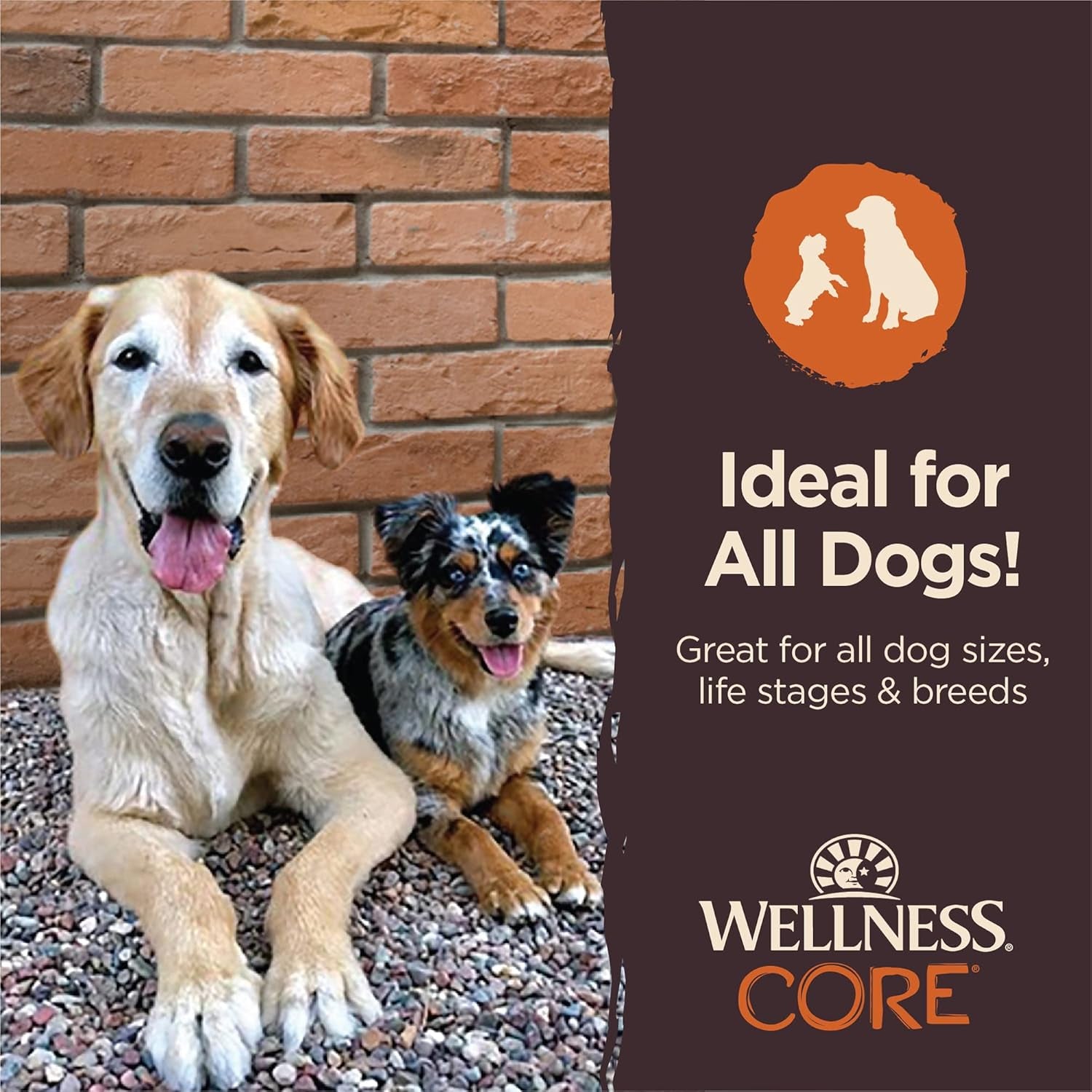 CORE Dog Treats, Natural, Grain Free, Tender Jerky, Chicken & Lamb (4 Ounce Bag)