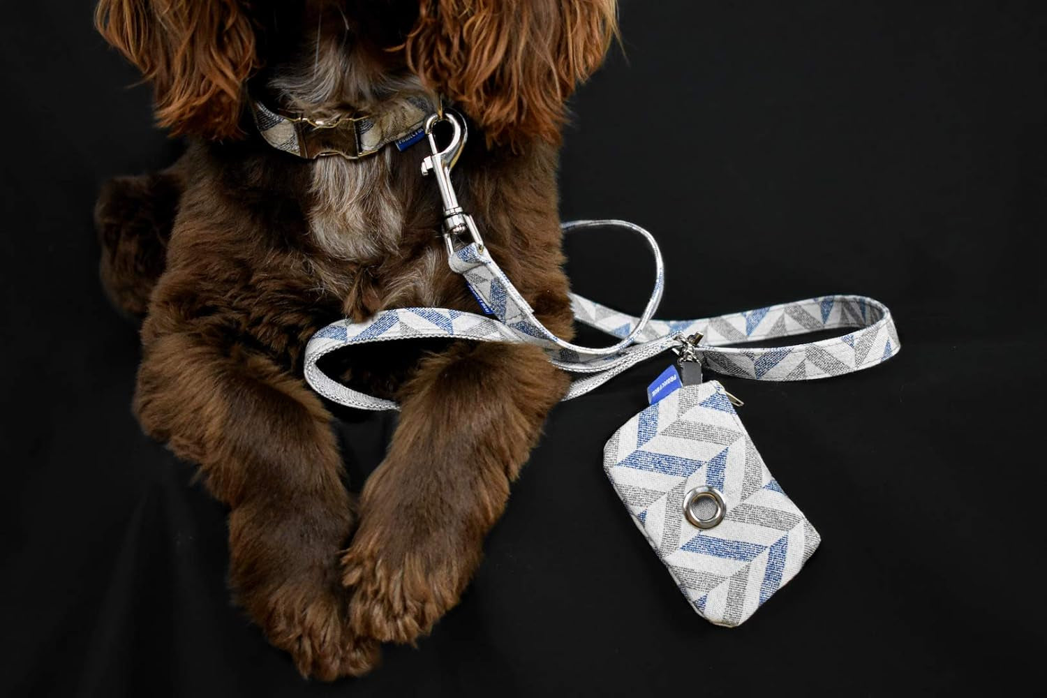 Eco Friendly Dog Poop Bag Holder, Sustainable and Recycled Material Pet Accessories (Rio (Blue))