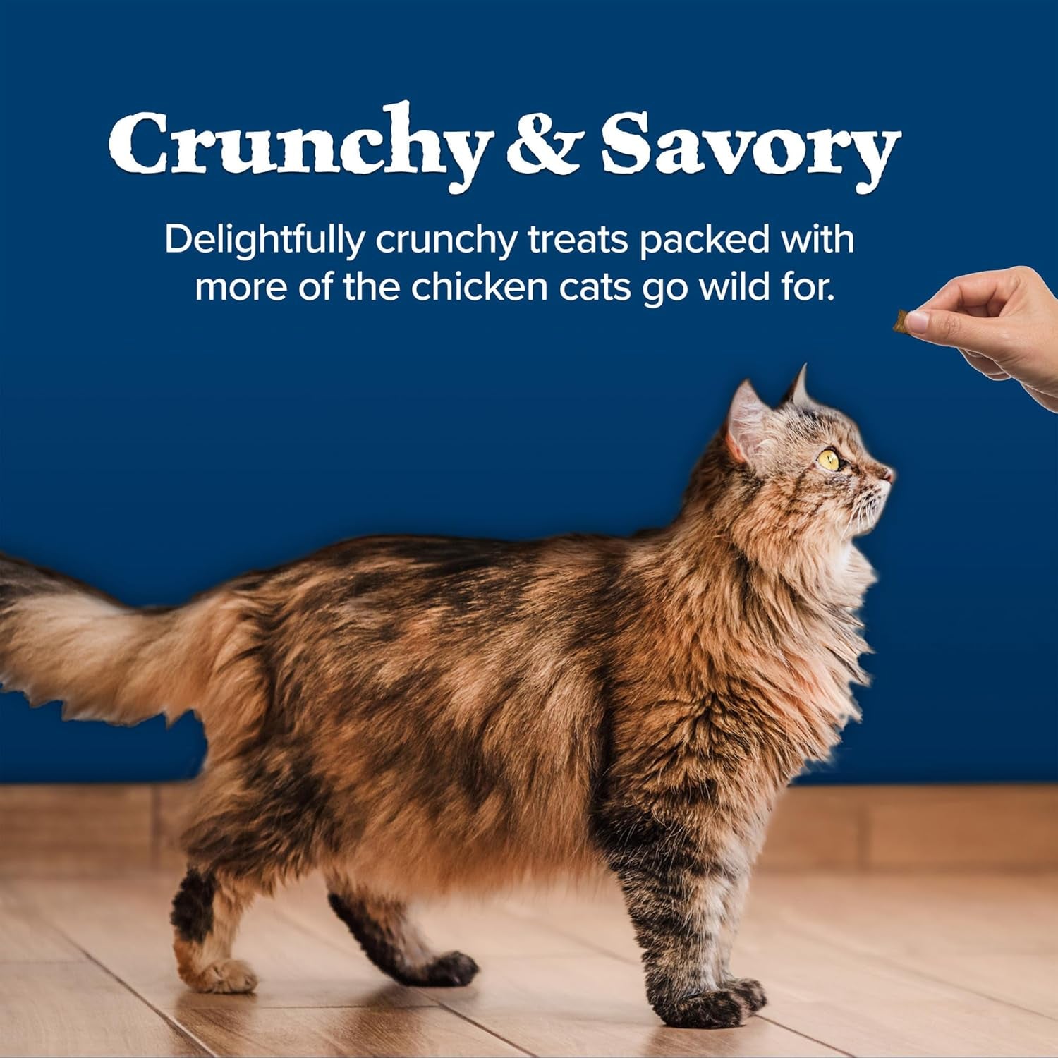Wilderness High Protein Crunchy Cat Treats, Made with Natural Ingredients, Tasty Salmon Flavor, 2-Oz Bag (Pack of 12)