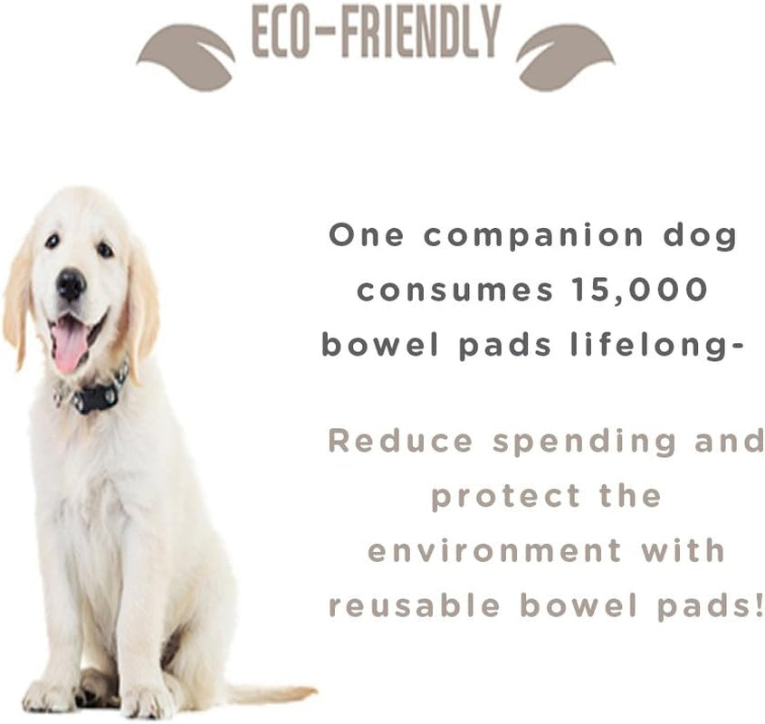 Eco-Friendly Semi Permanent Washable and Reusable Bowel Pad Small 3P for Pet Dog Puppy Training Pee Mat Made in Korea